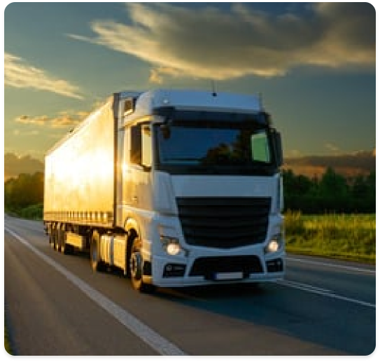 Motor Insurance